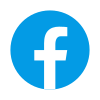 icons8 facebook 100